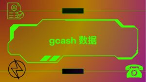 Gcash 数据